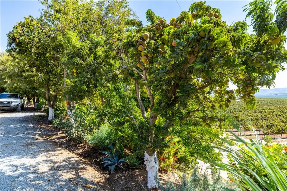 35095 Metz Road Soledad, CA 93960