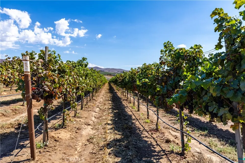35095 Metz Road Soledad, CA 93960