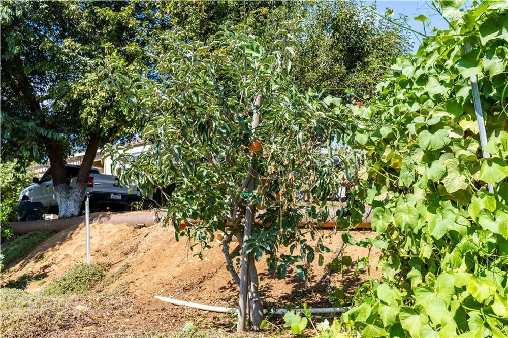 35095 Metz Road Soledad, CA 93960