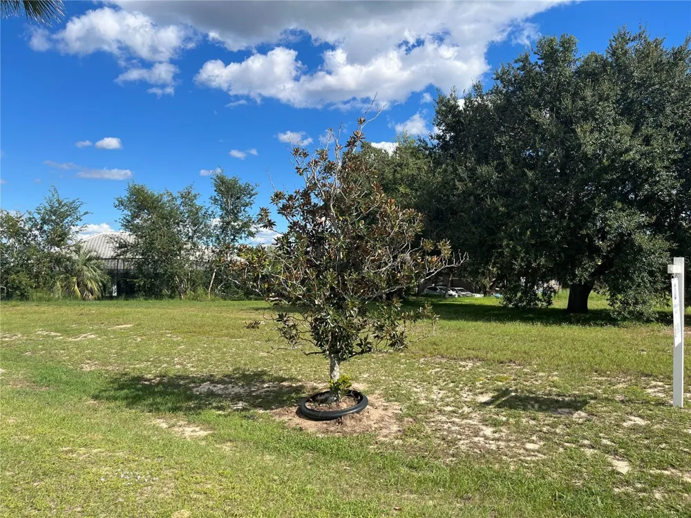 7434 JASMINE STREET Groveland, FL 34736