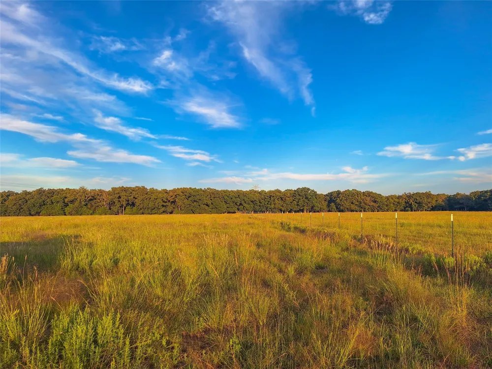 County Road 2147 #B Kemp, TX 75143