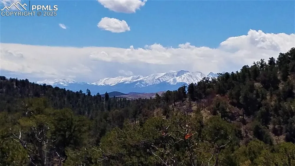 159 Mineshaft Place Cotopaxi, CO 81223