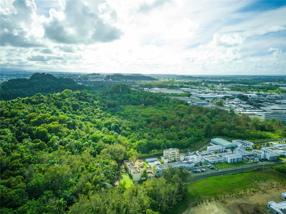 CARRETERA 2, KM 3.1 Bayamón, PR 00961