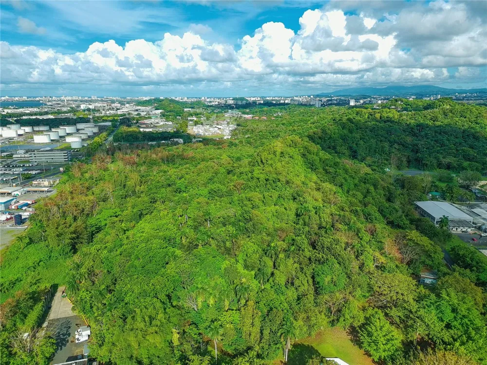 CARRETERA 2, KM 3.1 Bayamón, PR 00961