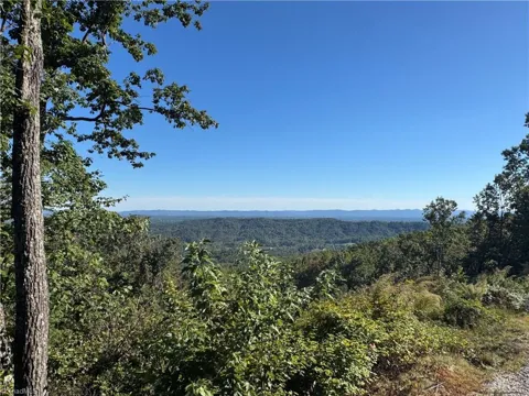Tract 47 Widow Mountain Drive