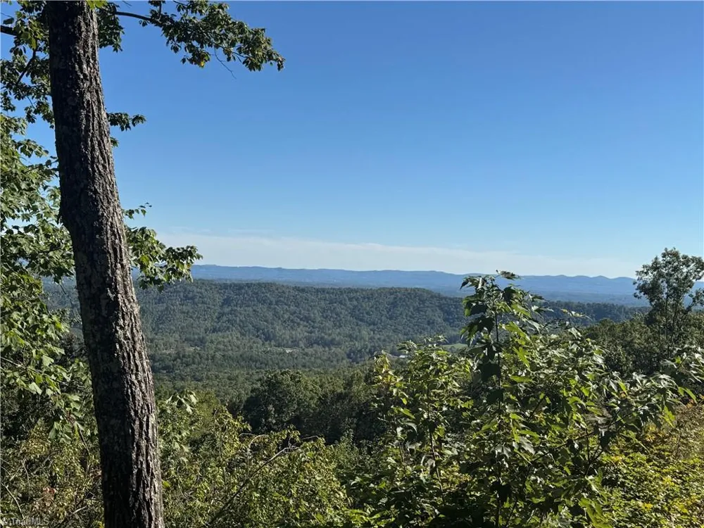 Tract 47 Widow Mountain Drive McGrady, NC 28649