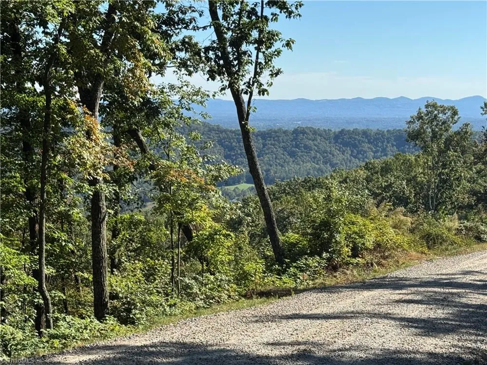 Tract 47 Widow Mountain Drive McGrady, NC 28649