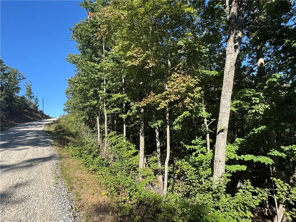Tract 47 Widow Mountain Drive McGrady, NC 28649