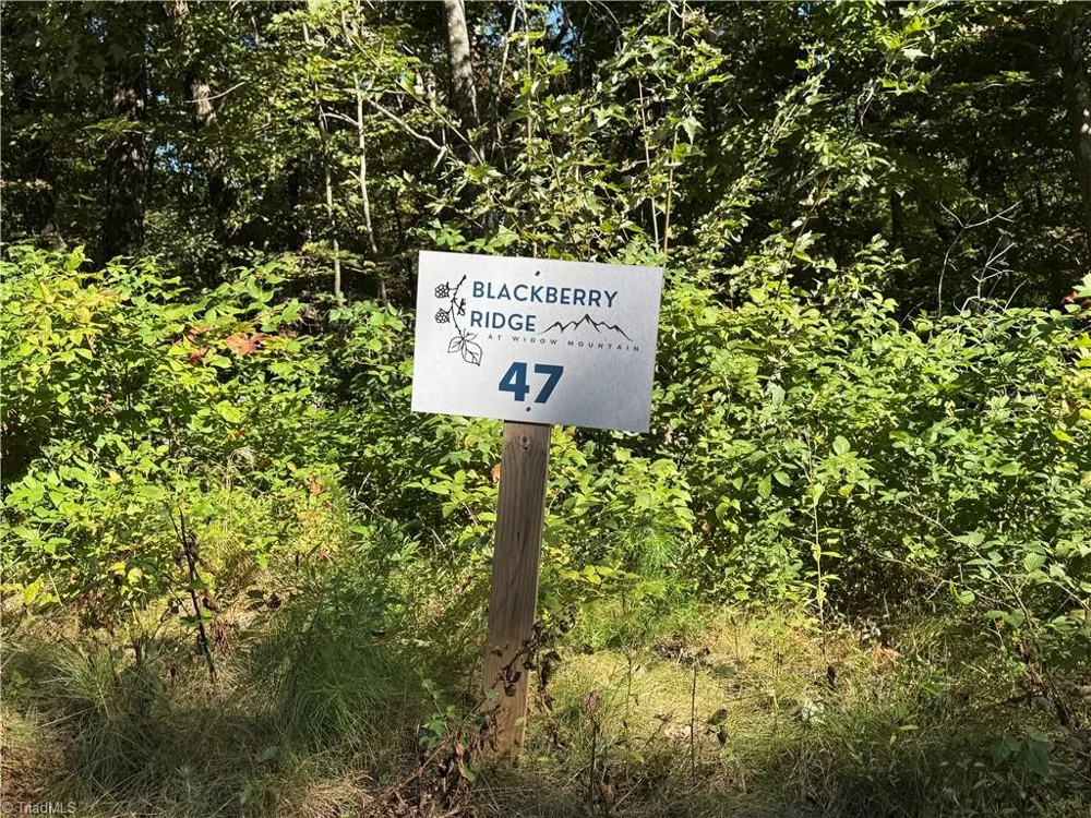 Tract 47 Widow Mountain Drive McGrady, NC 28649