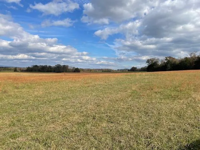 New Bethel Road Dayton, TN 37321