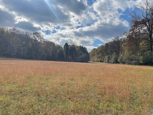 New Bethel Road Dayton, TN 37321