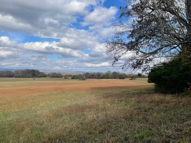 New Bethel Road Dayton, TN 37321