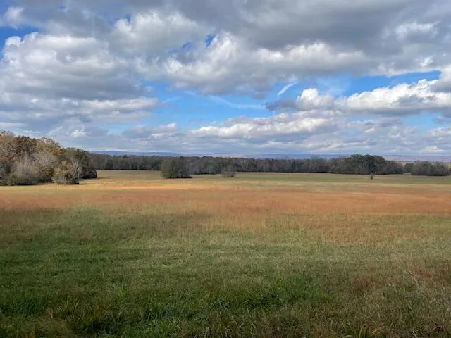 New Bethel Road Dayton, TN 37321