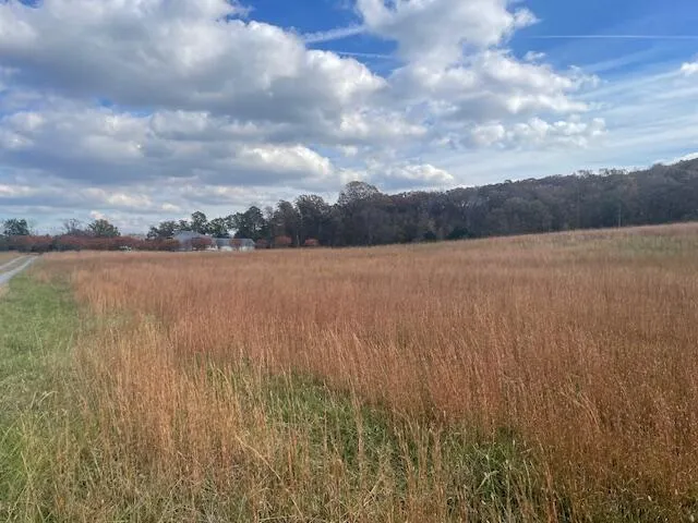 New Bethel Road Dayton, TN 37321