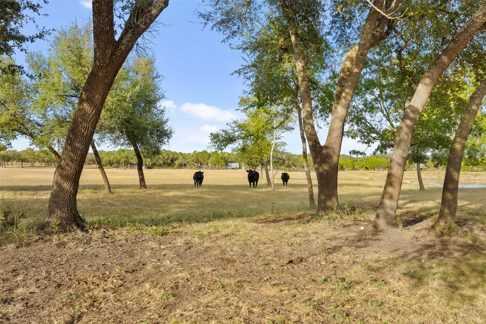 2700 County Road 282 Road Leander, TX 78641