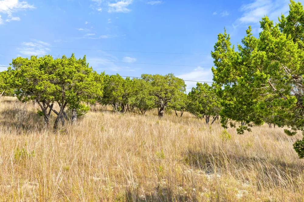 2 Ranch Road 165 Blanco, TX 78606