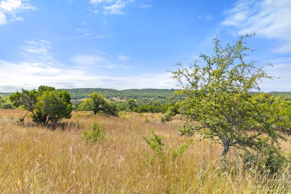 2 Ranch Road 165 Blanco, TX 78606