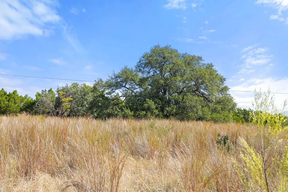 2 Ranch Road 165 Blanco, TX 78606