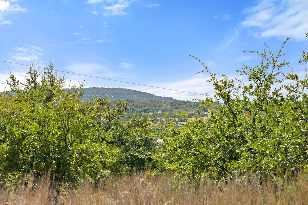 2 Ranch Road 165 Blanco, TX 78606