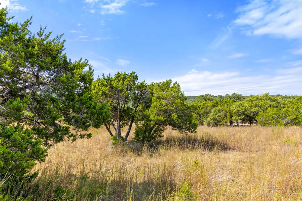 2 Ranch Road 165 Blanco, TX 78606