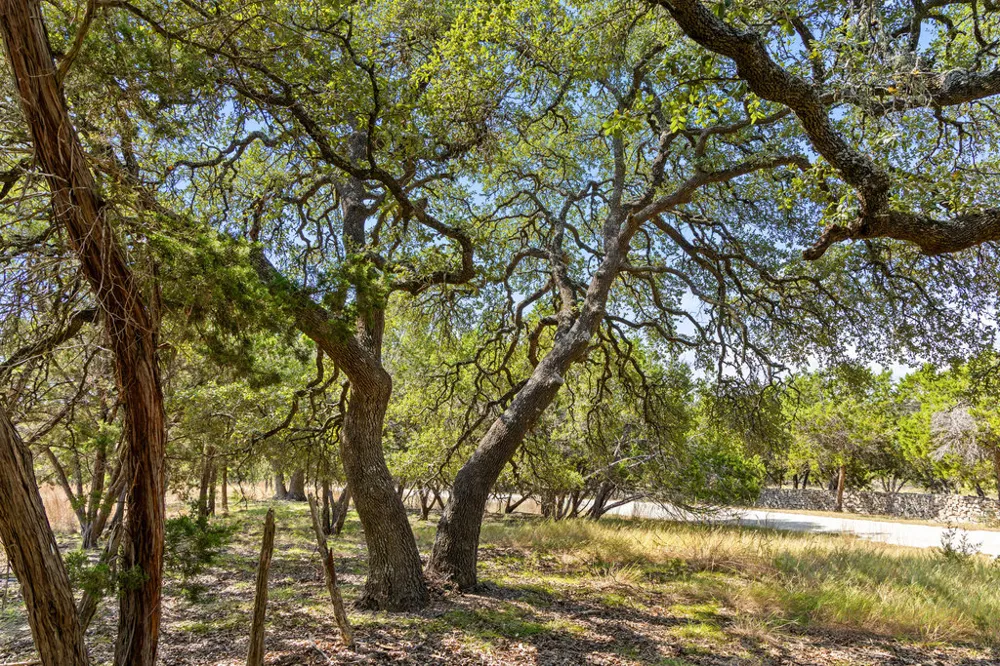 2 Ranch Road 165 Blanco, TX 78606