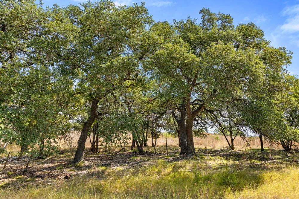 2 Ranch Road 165 Blanco, TX 78606