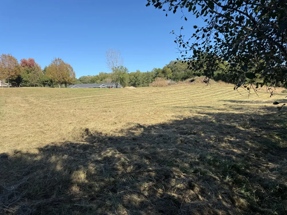 104 Meadow Lane New London, MN 56273
