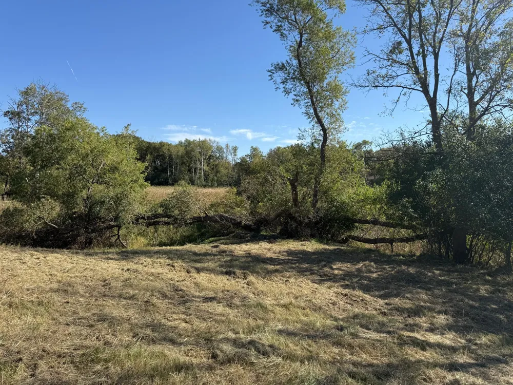 108 Meadow Lane New London, MN 56273