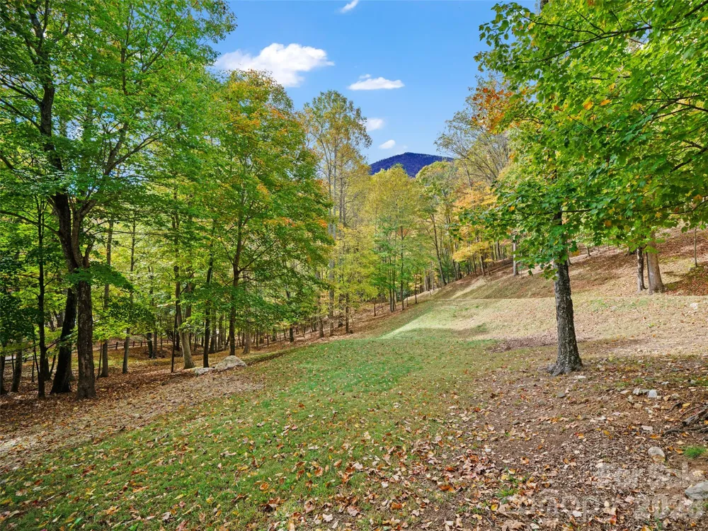 42 Hickory Springs Road #42 Burnsville, NC 28714