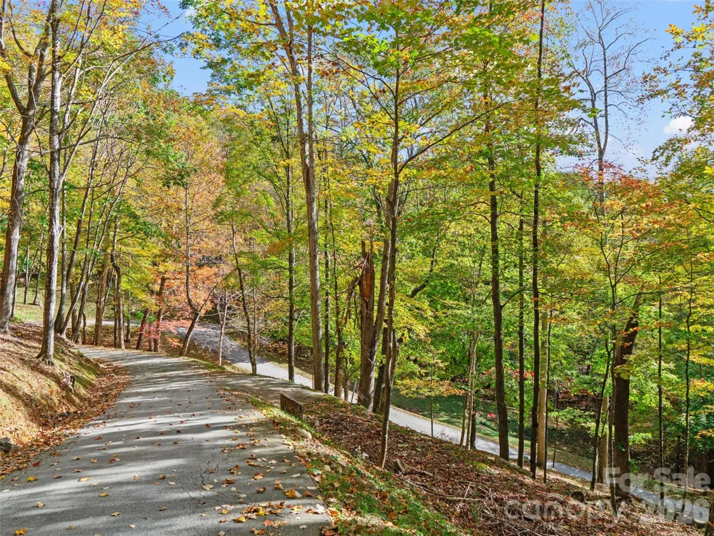 42 Hickory Springs Road #42 Burnsville, NC 28714