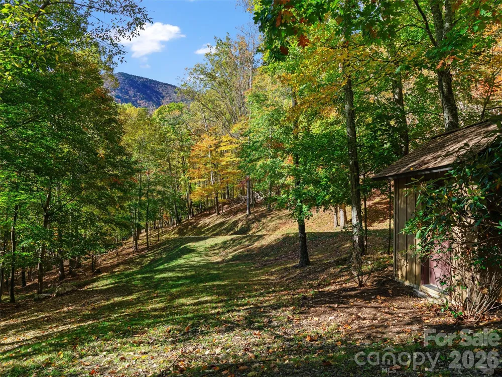 42 Hickory Springs Road #42 Burnsville, NC 28714
