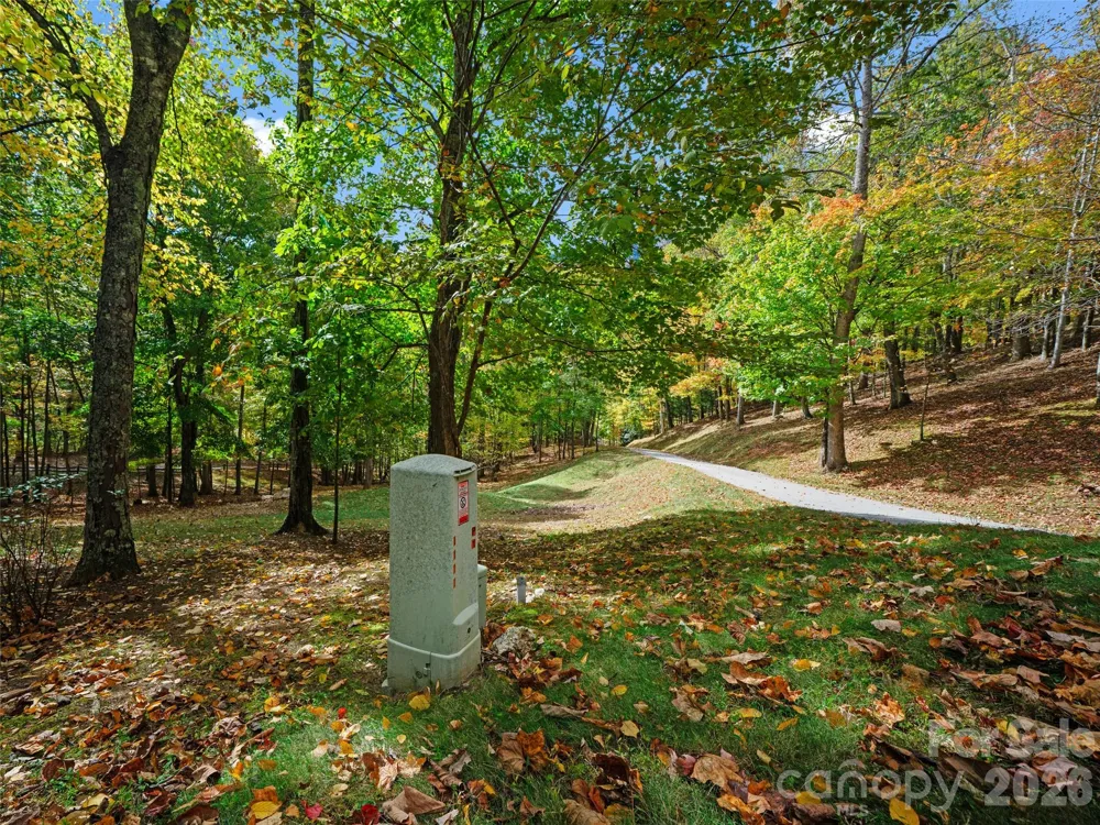 42 Hickory Springs Road #42 Burnsville, NC 28714