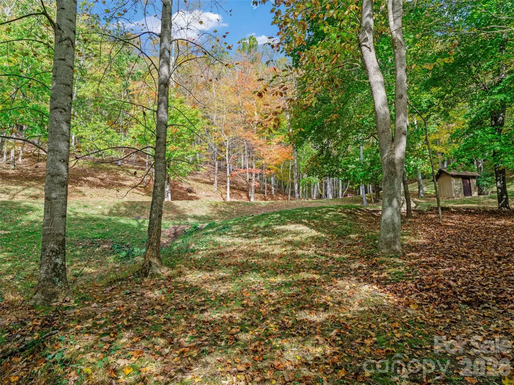 42 Hickory Springs Road #42 Burnsville, NC 28714
