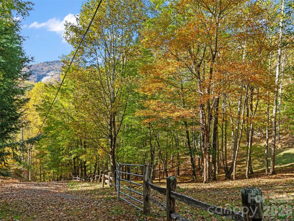 42 Hickory Springs Road #42 Burnsville, NC 28714