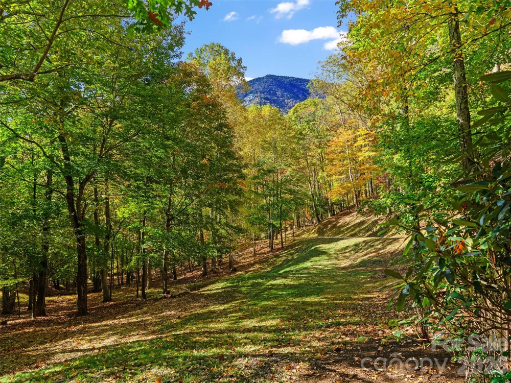 42 Hickory Springs Road #42 Burnsville, NC 28714