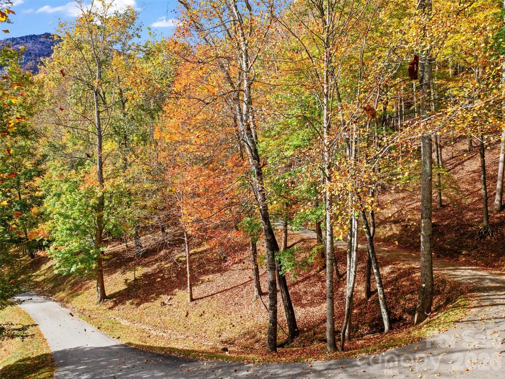 42 Hickory Springs Road #42 Burnsville, NC 28714