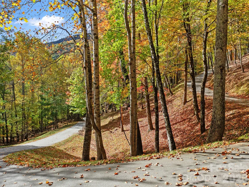 42 Hickory Springs Road #42 Burnsville, NC 28714