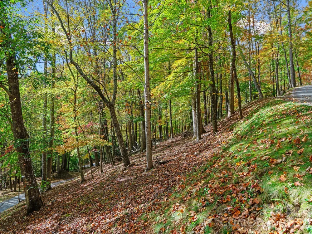 42 Hickory Springs Road #42 Burnsville, NC 28714
