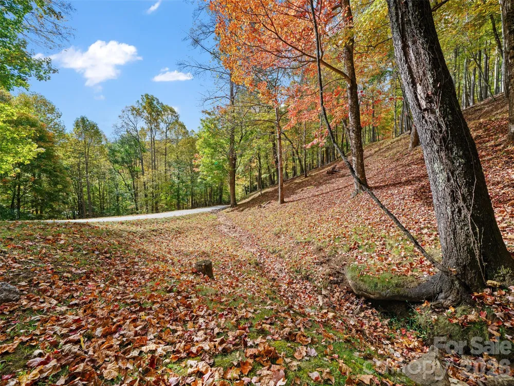 42 Hickory Springs Road #42 Burnsville, NC 28714