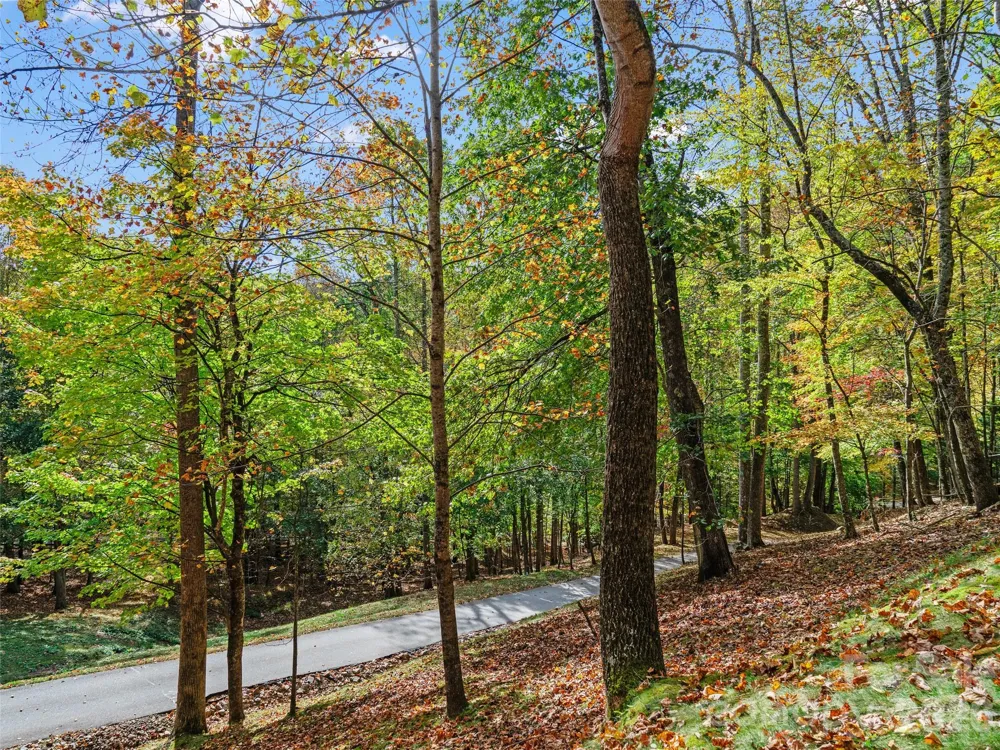 42 Hickory Springs Road #42 Burnsville, NC 28714