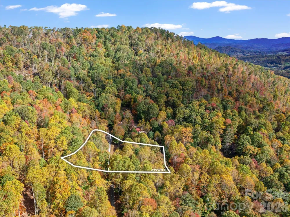 42 Hickory Springs Road #42 Burnsville, NC 28714