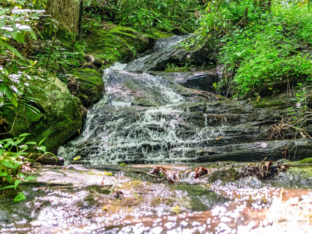 42 Hickory Springs Road #42 Burnsville, NC 28714