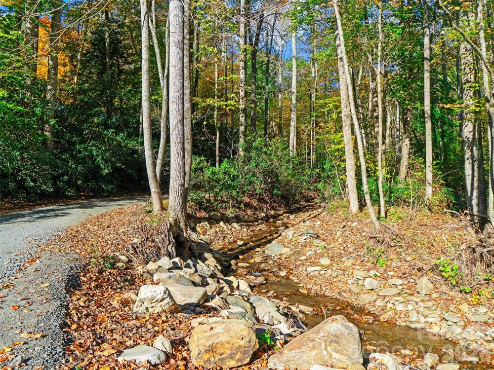 42 Hickory Springs Road #42 Burnsville, NC 28714