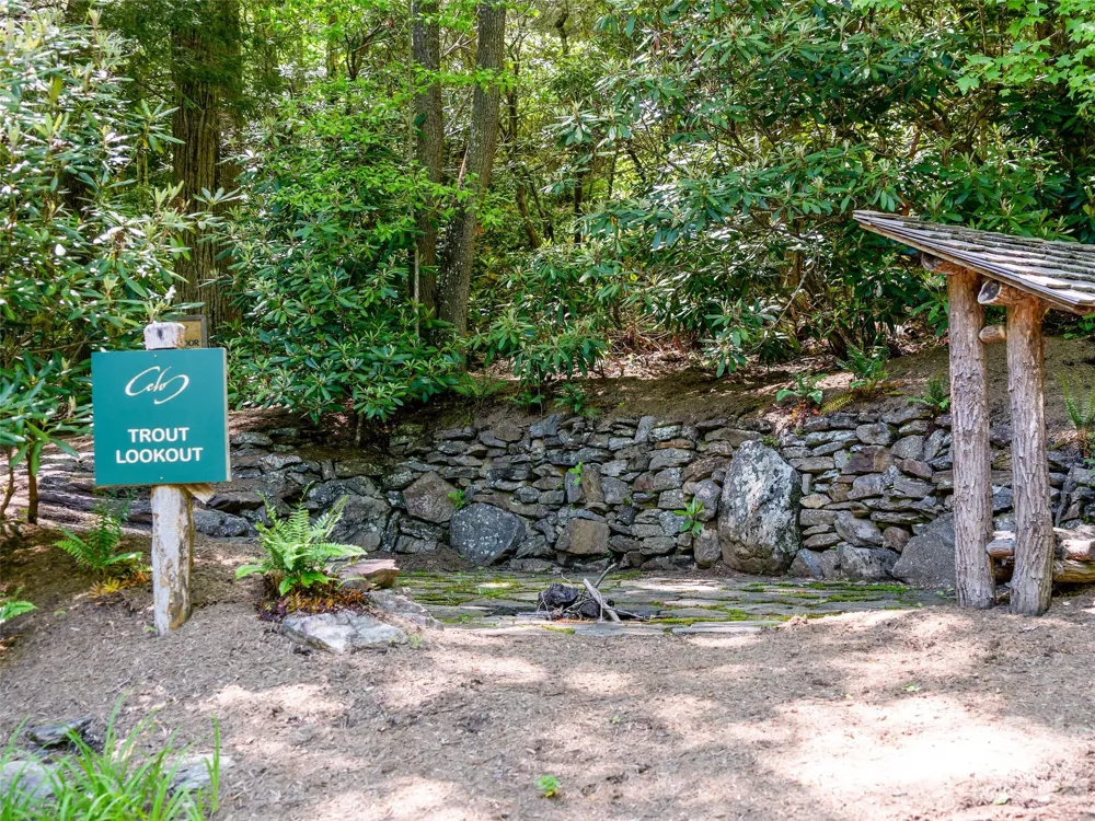 42 Hickory Springs Road #42 Burnsville, NC 28714