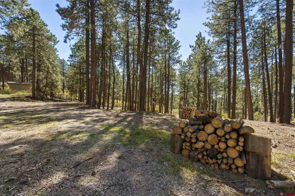 138 Green Ridge Drive Bayfield, CO 81122