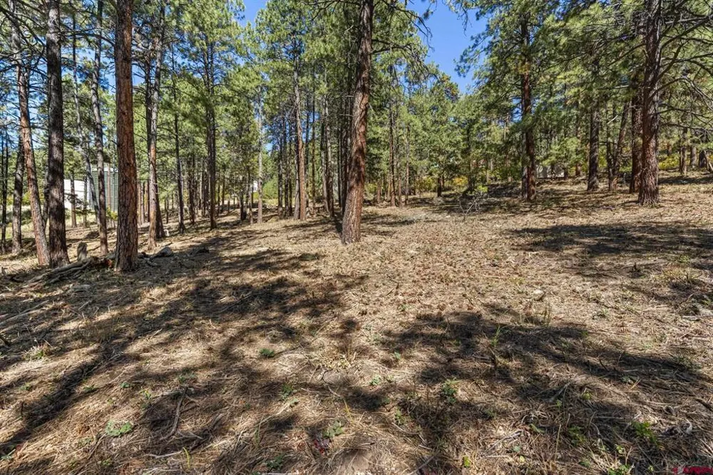 138 Green Ridge Drive Bayfield, CO 81122