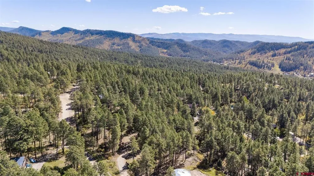 138 Green Ridge Drive Bayfield, CO 81122