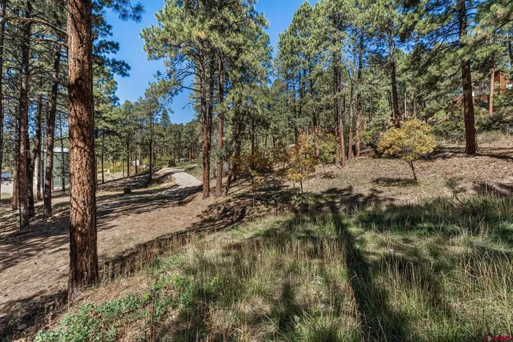 138 Green Ridge Drive Bayfield, CO 81122