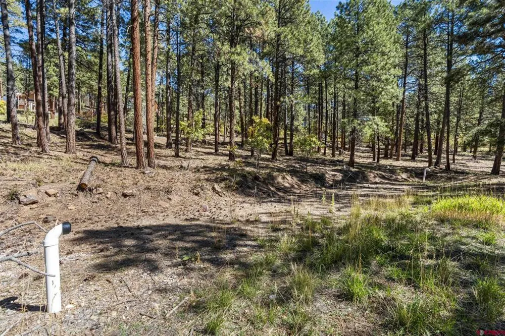 138 Green Ridge Drive Bayfield, CO 81122