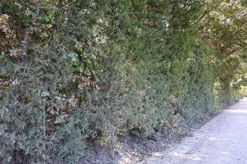 County Road 2005